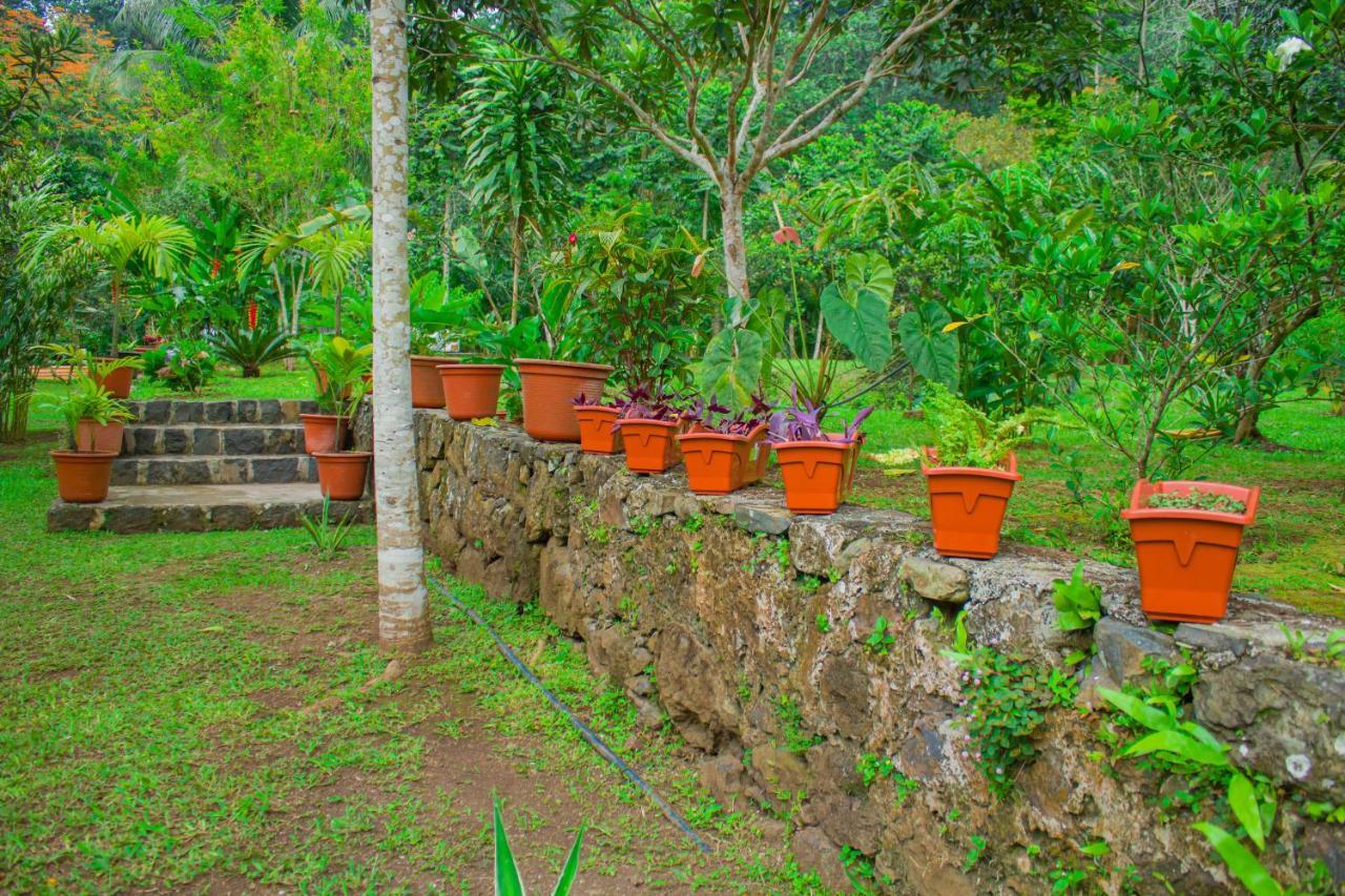 Welfare Agroturismo Milagrosa Bagian luar foto
